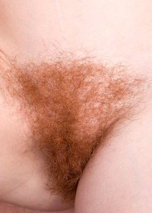 Wearehairy Model